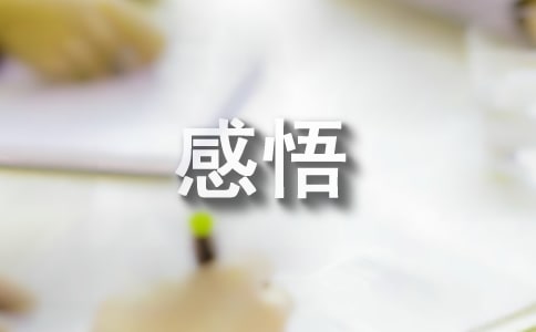 感悟人生哲理文章匯總