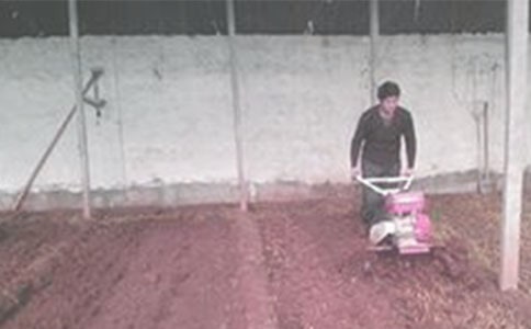 ���¸����ķ��g�p��