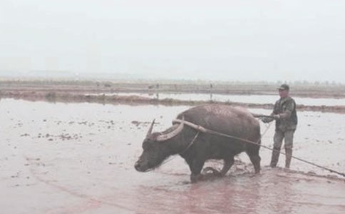 Ů�����еķ��g�p��