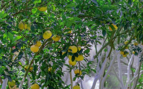 �x�����@�C(j��)���ˡ��и�