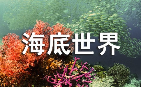 ���������硷��˼[��]