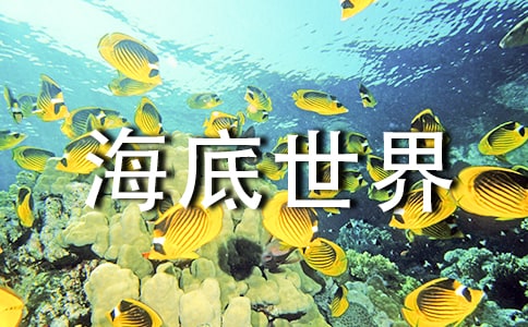 ���������硷��˼
