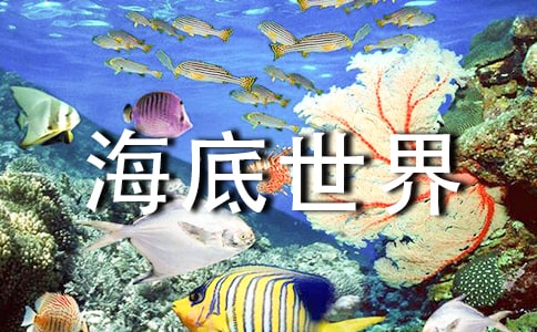 ���R�������猧(d��o)���~3ƪ