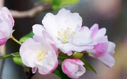 ͬ��݅�xδ�_����ԭ�ġ����g��עጼ��p��
