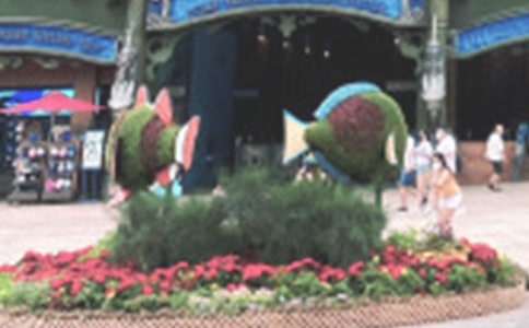 ����ȥ�K÷�u��ͨ���Һ��󹫈@��ʲô�����