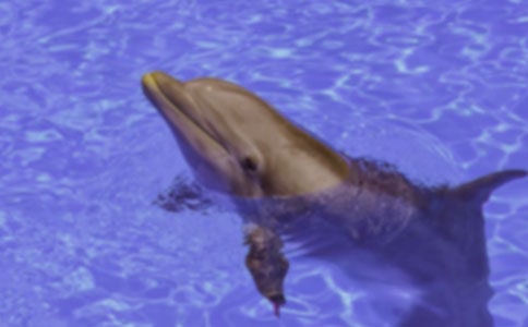 ���{ɫ�ĺ����u����(y��u)��(10ƪ)