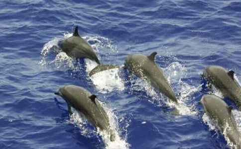 ��B���������