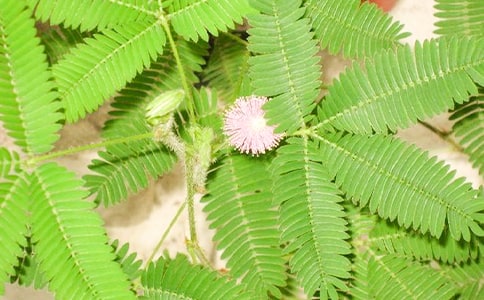 ���߲����ģ����x50ƪ��