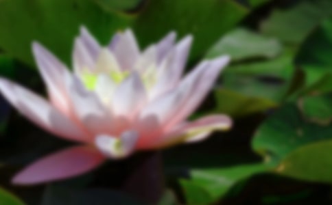 �ɻ������ģ����x59ƪ��