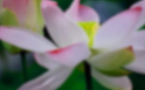 �P(gu��n)�ڿ��ɻ�������(12ƪ)