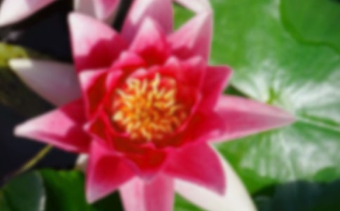 �ɻ�С���P���ģ����x70ƪ��