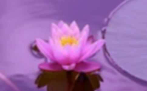 ���O(sh��)���C����ĸ���