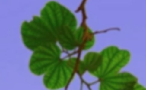 ���C����Ⱥ����