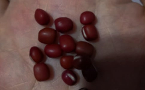 �t���l(f��)ѿӛ����