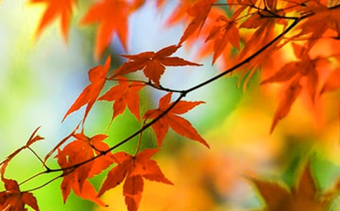 ���l(xi��ng)�t�~�F(xi��n)������x�}����