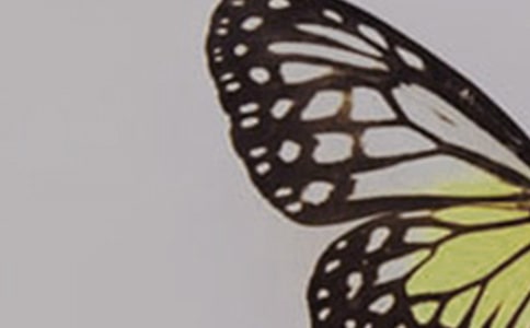 ���꼉��Ҫ׽�������D��Ԓ