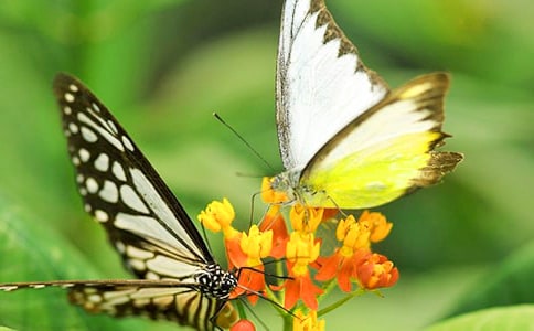 ���h(yu��n)�ĺ�����x��