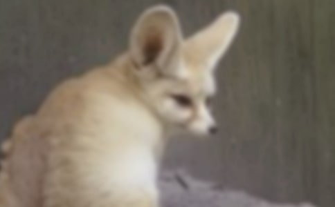 ���P(gu��n)��؂�Ĺ���