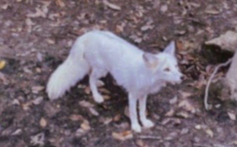 ��(xi��)��؂���~�Z(y��)