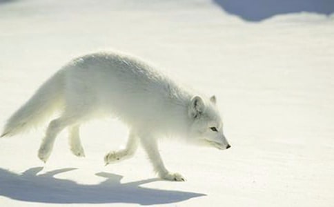 ����؂�͞��f���̌W(xu��)���