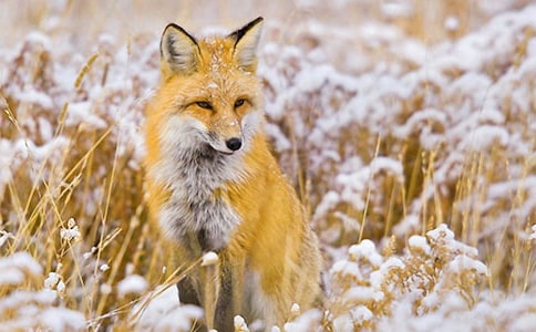 ��؂����ӛ��ô��5ƪ