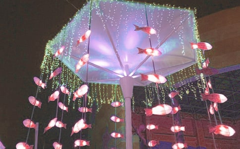 ��ʲô����ʮ��Ҫ�p����