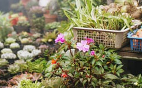 �������ĵ�Ψ���İ�