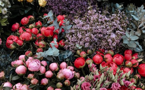 ����?du��)I�N(xi��o)�߄�����