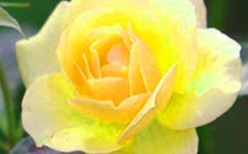 �����Ļ��䃞(y��u)������86�l