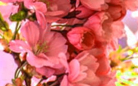 �P�ڻ�����i�Z
