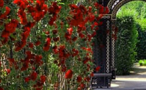 �ҼҵĻ��@����14ƪ�����ϣ�