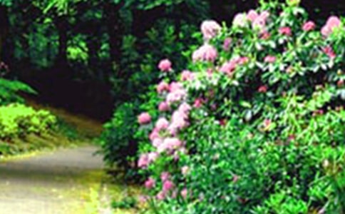 ���@������[��Ʒ]