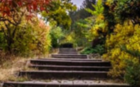 ��(gu��)���Ļ��@����