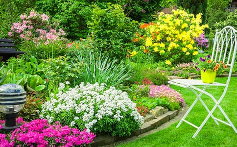 С�ܵĻ��@�Ĺ���