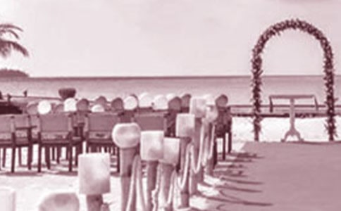 ���ֻ�Y���_�~15ƪ