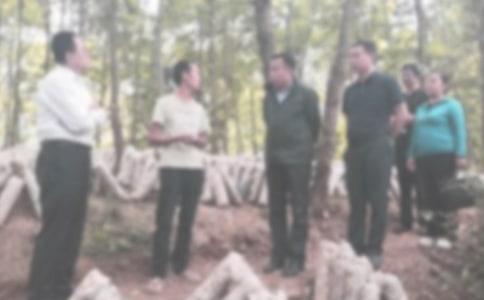 �W(xu��)���`�o(j��)�zӑ[��(y��u)��]