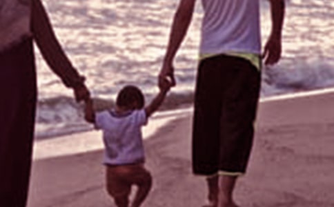 �P(gu��n)�ڼ�ͥ�����ĵ��w��(hu��)���\