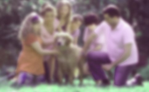 [����]��ͥ�����ĵ��w��15ƪ