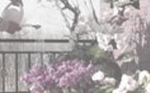 ������ӛ���t