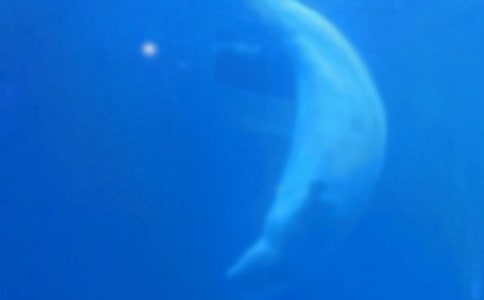 �L�~����������