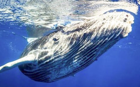 �L�~(y��)�����