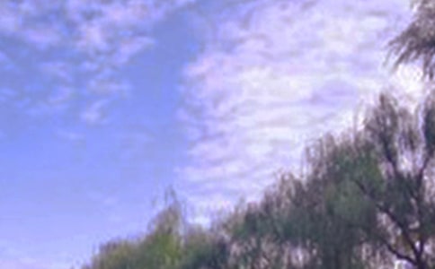 �茑��ɫ��(y��u)�����䣨���x210�Σ�