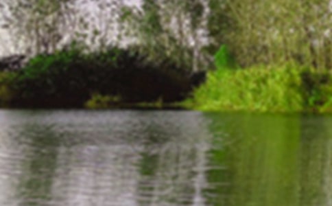 �M���t������ɫ�p��