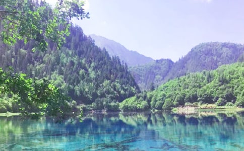 �ҵ������n ����կ�ϡ����̌W(xu��)��(sh��)�
