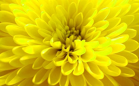 �ջ��ĳ��Ѓ�(y��u)����ӛ