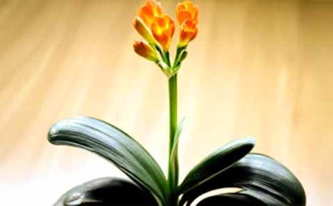 (��)�����m����