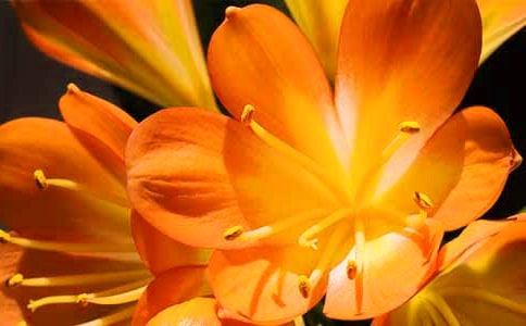 �����m[���x]