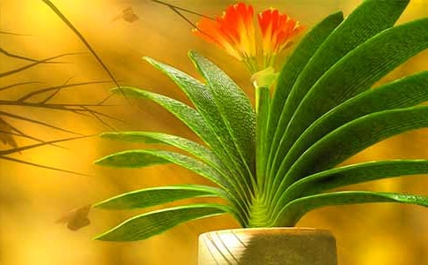 �����m�_������