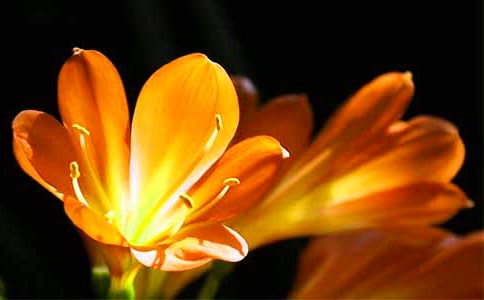 �����m�����\����15ƪ��