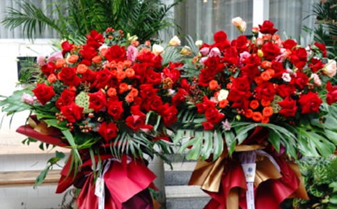 �µ��_����Ո(q��ng)��11ƪ